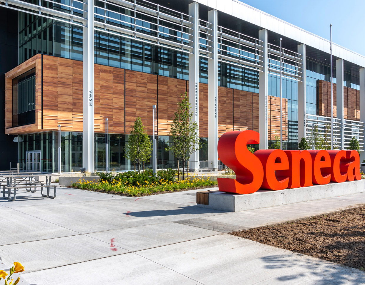 phd in seneca college canada